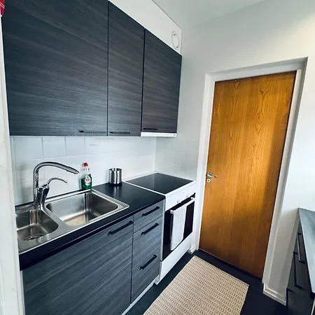 Lejlighed Downtown Cozy Flat With Balcony 45m2